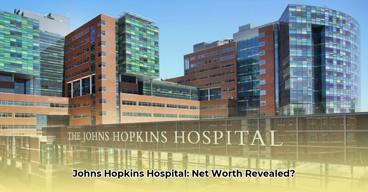 john-hopkins-hospital-net-worth
